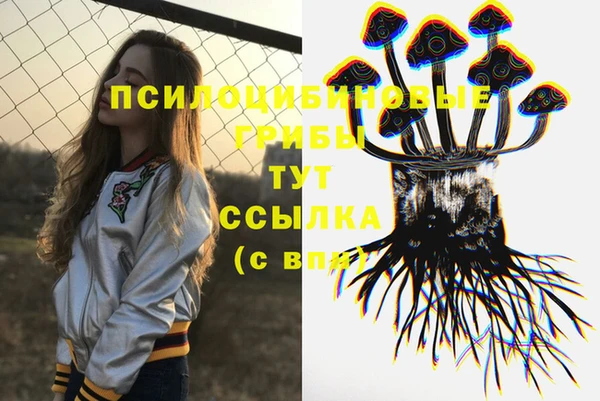 молекула духа Новокубанск