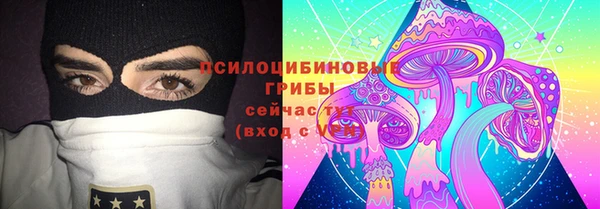 молекула духа Новокубанск