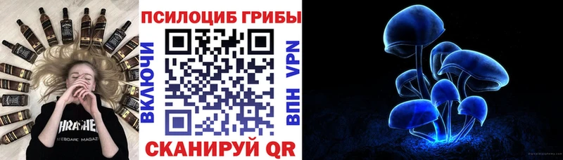 Псилоцибиновые грибы MAGIC MUSHROOMS Чистополь