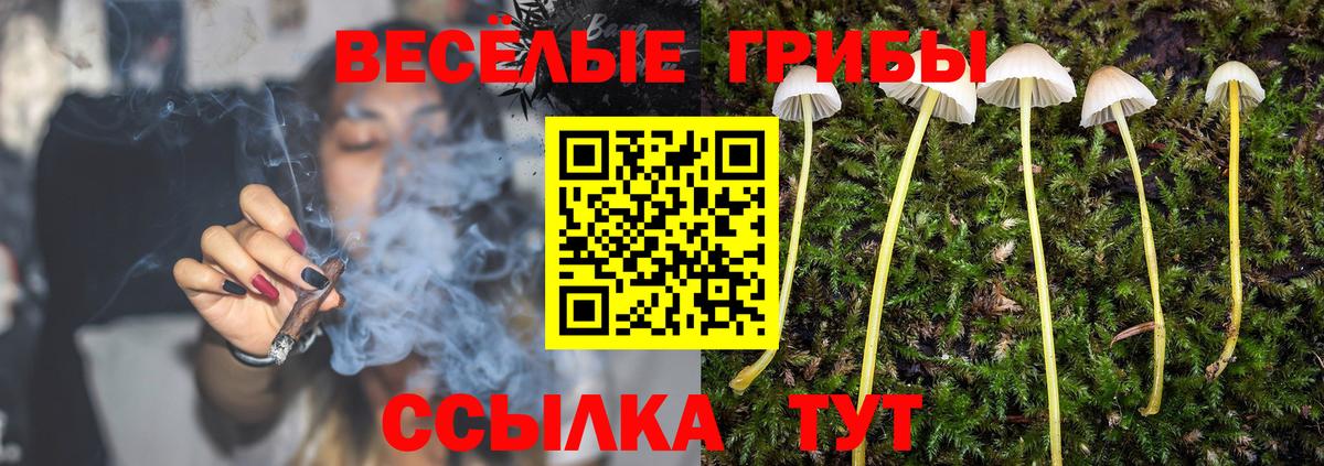 Псилоцибиновые грибы Magic Shrooms Чистополь
